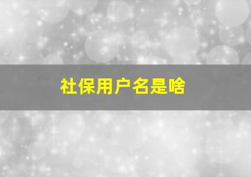 社保用户名是啥