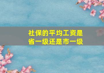 社保的平均工资是省一级还是市一级