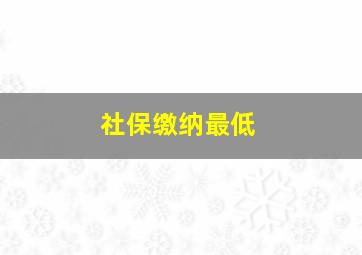 社保缴纳最低