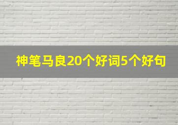 神笔马良20个好词5个好句