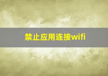 禁止应用连接wifi