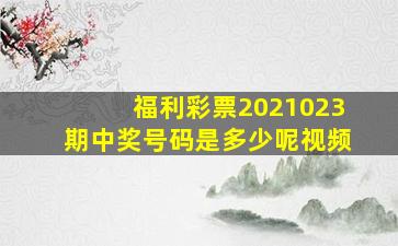 福利彩票2021023期中奖号码是多少呢视频