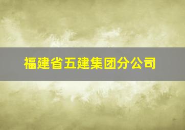 福建省五建集团分公司