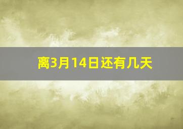 离3月14日还有几天