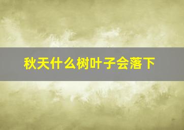 秋天什么树叶子会落下