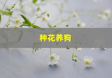 种花养狗