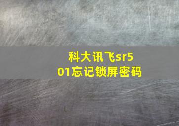 科大讯飞sr501忘记锁屏密码