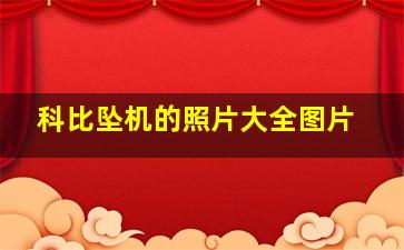 科比坠机的照片大全图片