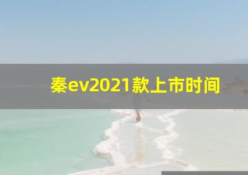 秦ev2021款上市时间