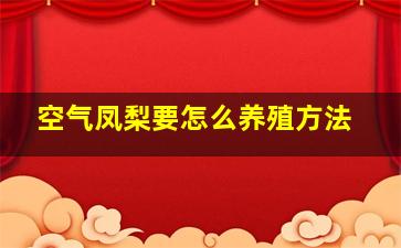 空气凤梨要怎么养殖方法