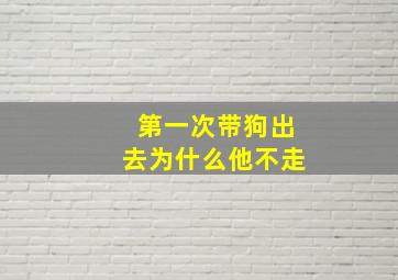 第一次带狗出去为什么他不走