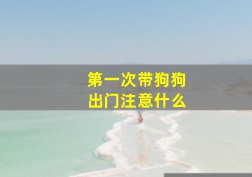 第一次带狗狗出门注意什么