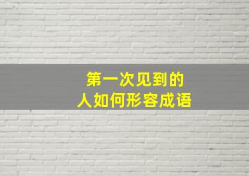 第一次见到的人如何形容成语