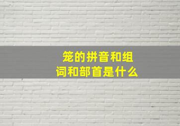 笼的拼音和组词和部首是什么