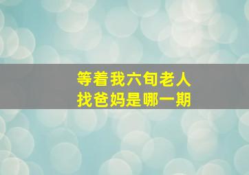 等着我六旬老人找爸妈是哪一期