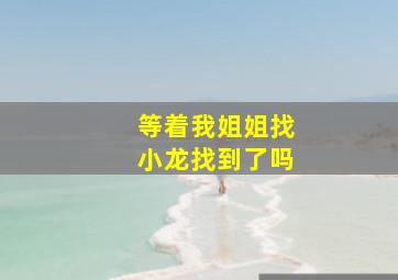 等着我姐姐找小龙找到了吗