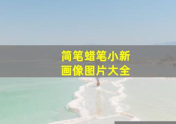 简笔蜡笔小新画像图片大全