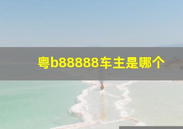 粤b88888车主是哪个