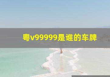 粤v99999是谁的车牌