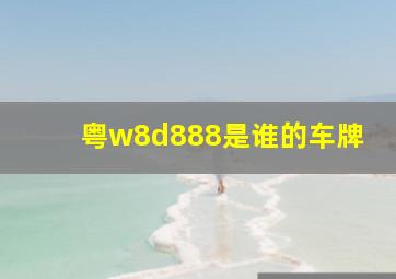 粤w8d888是谁的车牌