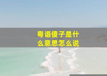 粤语傻子是什么意思怎么说