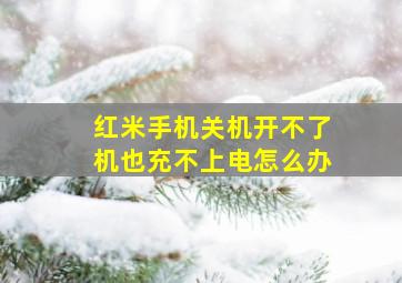 红米手机关机开不了机也充不上电怎么办