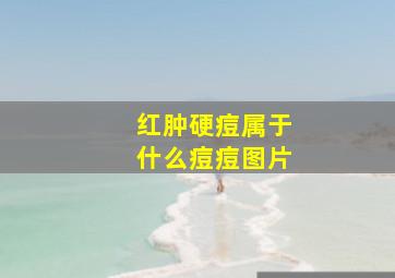 红肿硬痘属于什么痘痘图片