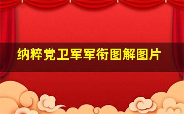 纳粹党卫军军衔图解图片