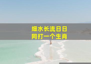 细水长流日日同打一个生肖