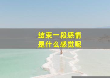 结束一段感情是什么感觉呢