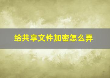 给共享文件加密怎么弄