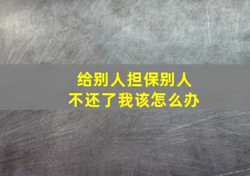 给别人担保别人不还了我该怎么办