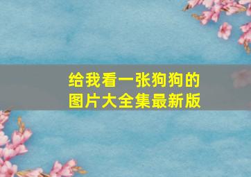 给我看一张狗狗的图片大全集最新版