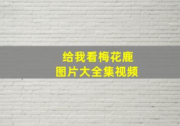 给我看梅花鹿图片大全集视频