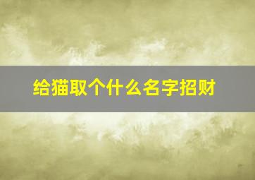 给猫取个什么名字招财