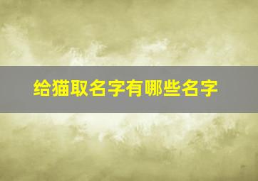 给猫取名字有哪些名字