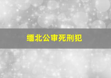 缅北公审死刑犯