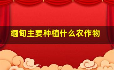 缅甸主要种植什么农作物