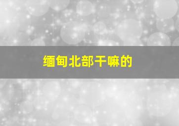 缅甸北部干嘛的