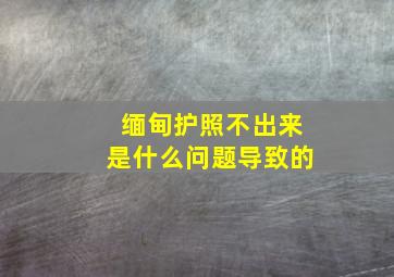 缅甸护照不出来是什么问题导致的