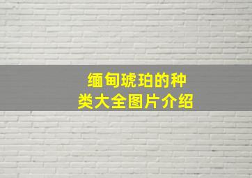 缅甸琥珀的种类大全图片介绍