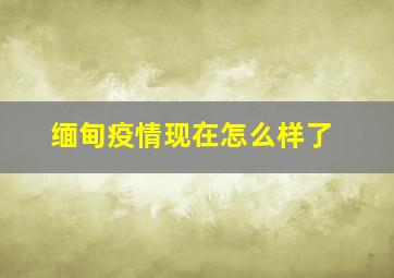 缅甸疫情现在怎么样了