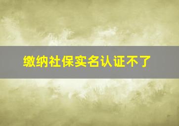 缴纳社保实名认证不了