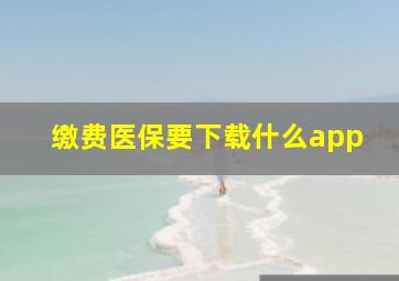 缴费医保要下载什么app