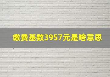 缴费基数3957元是啥意思