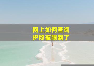 网上如何查询护照被限制了