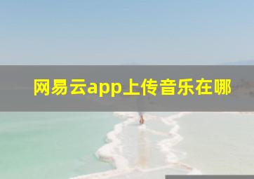 网易云app上传音乐在哪