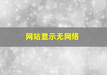 网站显示无网络