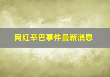 网红辛巴事件最新消息