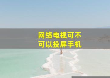 网络电视可不可以投屏手机